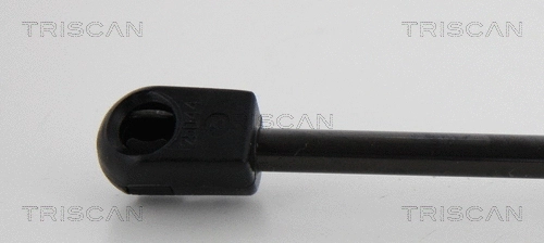 Gas Spring, rear window