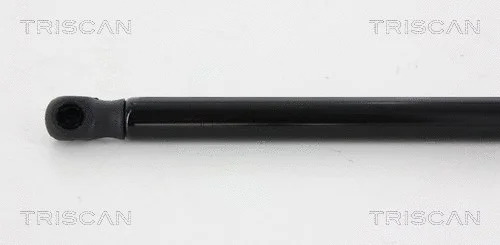 Gas Spring, boot/cargo area