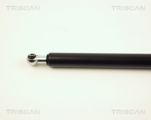 Gas Spring, boot/cargo area