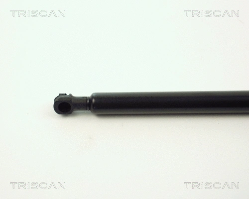 Gas Spring, boot/cargo area