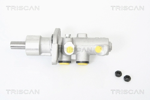 Brake Master Cylinder (8130 11123)