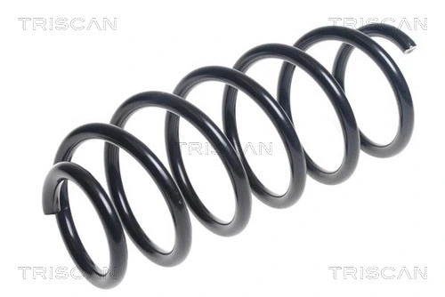 Suspension Spring (8750 24199)