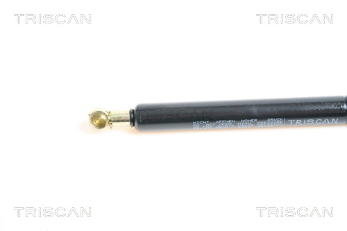 Gas Spring, boot/cargo area