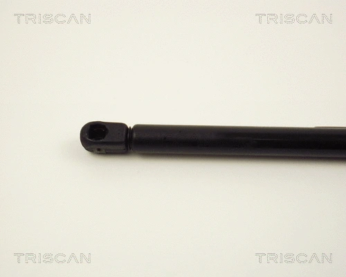 Gas Spring, boot/cargo area