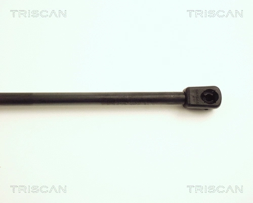 Gas Spring, boot/cargo area