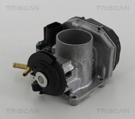 Throttle Body (8820 29013)