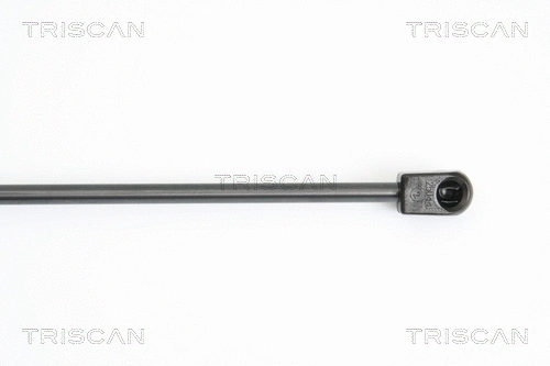 Gas Spring, boot/cargo area