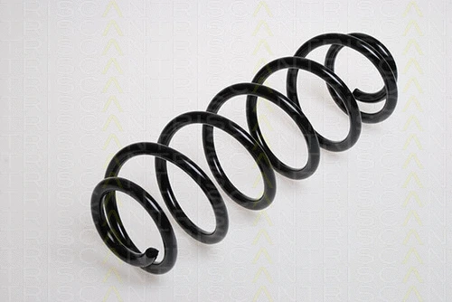 Suspension Spring (8750 2876)