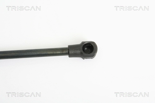 Gas Spring, boot/cargo area