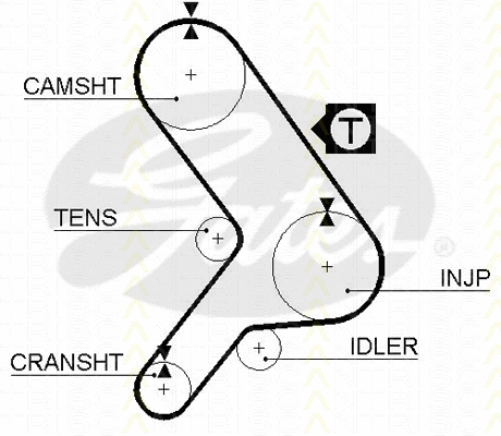 Timing Belt