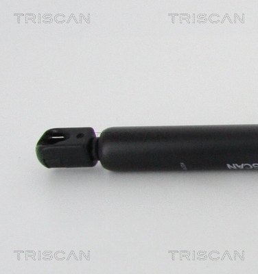 Gas Spring, boot/cargo area