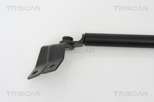 Gas Spring, boot/cargo area