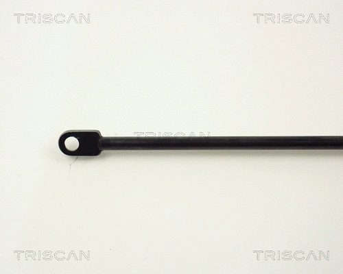 Gas Spring, bonnet