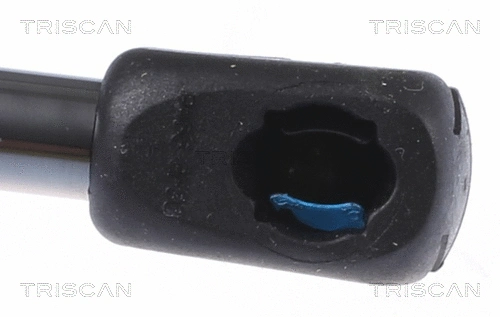 Gas Spring, boot/cargo area