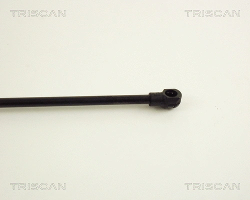 Gas Spring, boot/cargo area