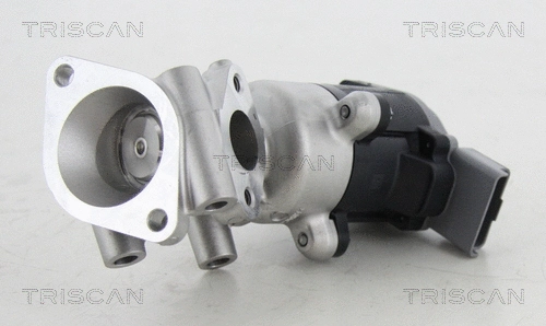 EGR Valve (8813 17016)
