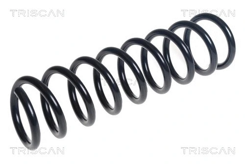 Suspension Spring (8750 16144)