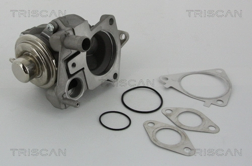 EGR Valve (8813 28019)