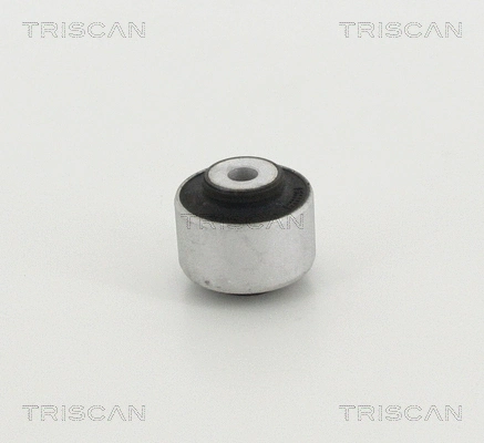 Mounting, control/trailing arm (8500 298041)