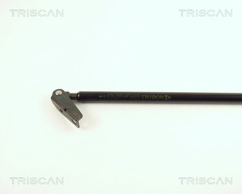 Gas Spring, boot/cargo area