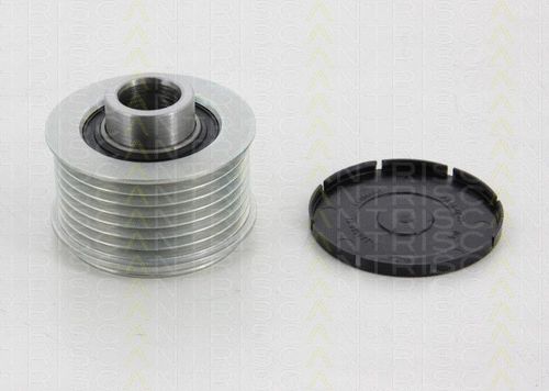 Alternator Freewheel Clutch (8641 684001)