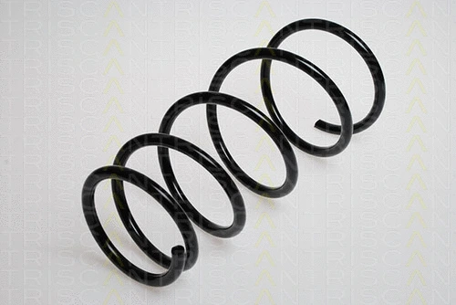 Suspension Spring (8750 13103)