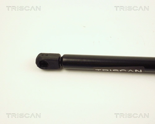 Gas Spring, boot/cargo area