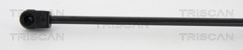 Gas Spring, boot/cargo area