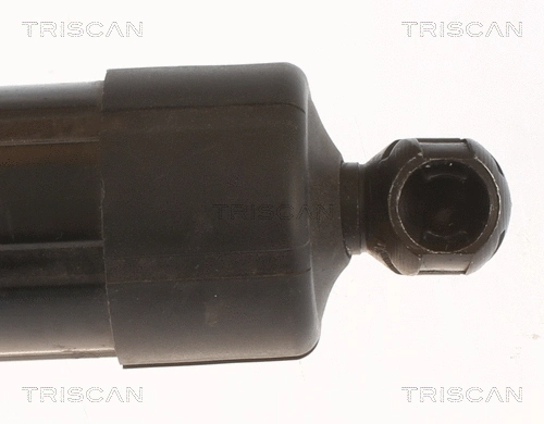 Gas Spring, boot/cargo area