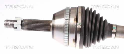 Drive Shaft