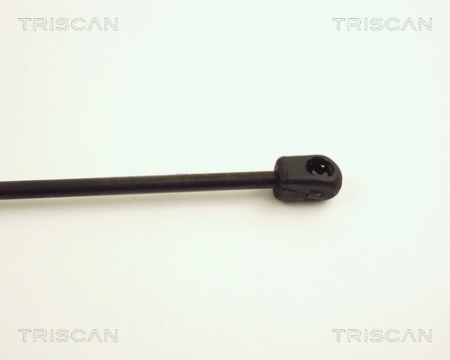 Gas Spring, boot/cargo area