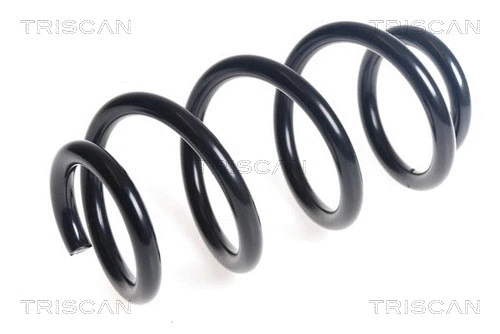 Suspension Spring (8750 29475)
