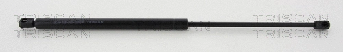 Gas Spring, boot/cargo area (8710 29212)