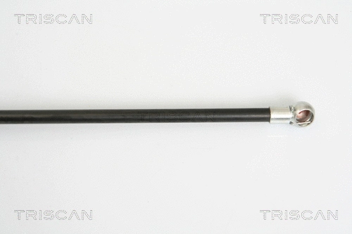 Gas Spring, boot/cargo area