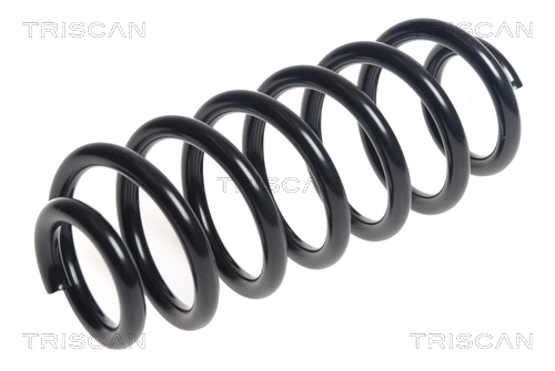Suspension Spring (8750 29401)