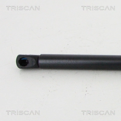 Gas Spring, bonnet
