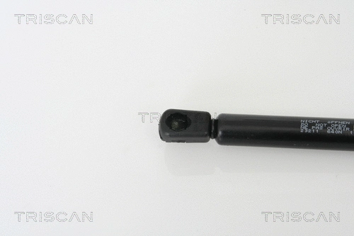 Gas Spring, boot/cargo area