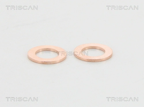 Brake Hose (8150 13130)
