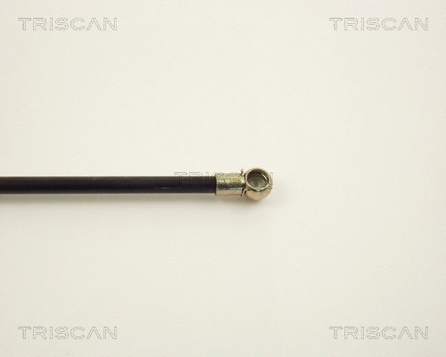Gas Spring, boot/cargo area