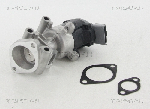 EGR Valve (8813 10009)