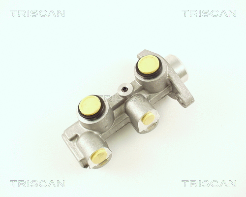 Brake Master Cylinder (8130 24114)