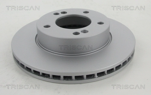 Brake Disc (8120 101019C)