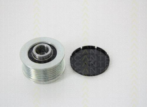 Alternator Freewheel Clutch (8641 244004)