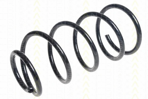 Suspension Spring (8750 16113)