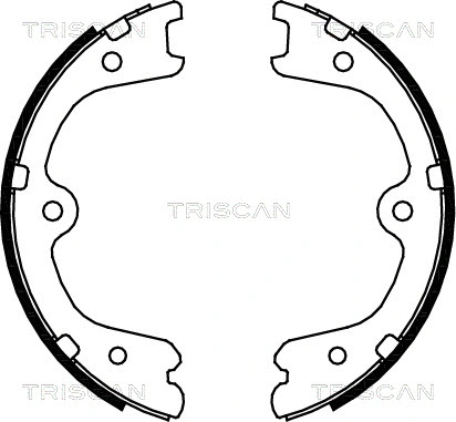 Brake Shoe Set, parking brake (8100 14009)