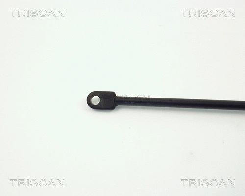 Gas Spring, boot/cargo area