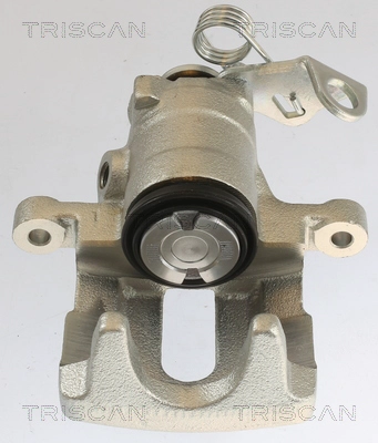 Brake Caliper (8175 10202)