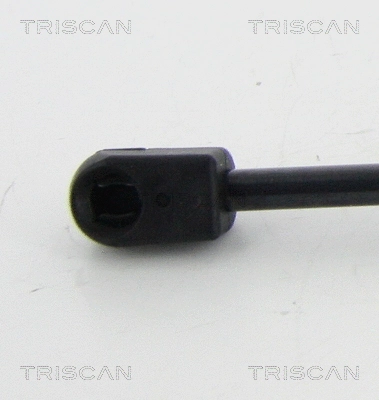 Gas Spring, boot/cargo area