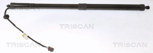 Gas Spring, boot/cargo area (8710 16302)