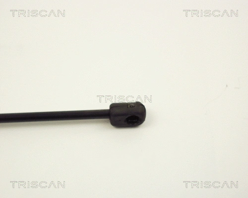 Gas Spring, boot/cargo area